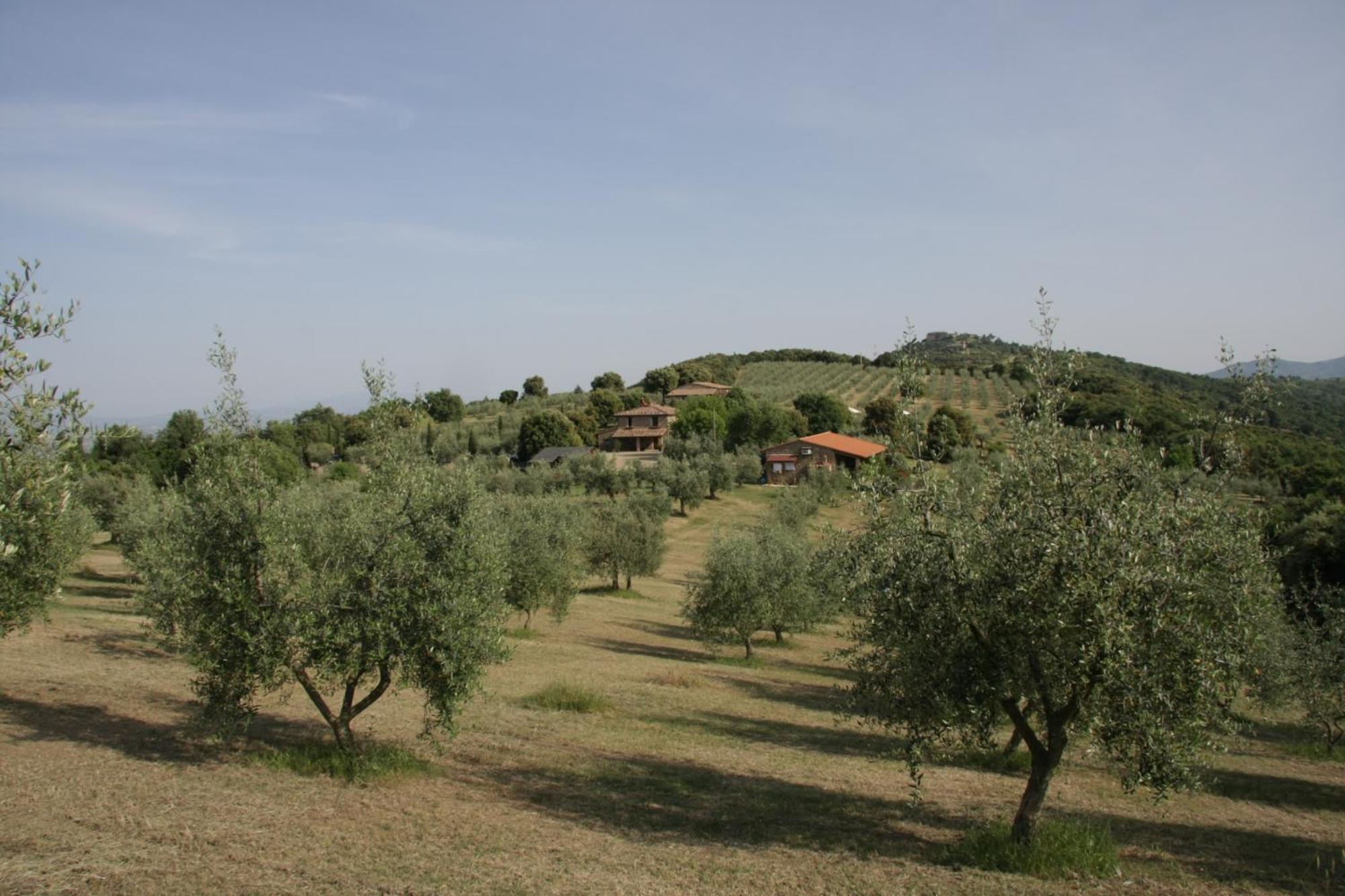 The Country House Montali Tavernelle  Extérieur photo