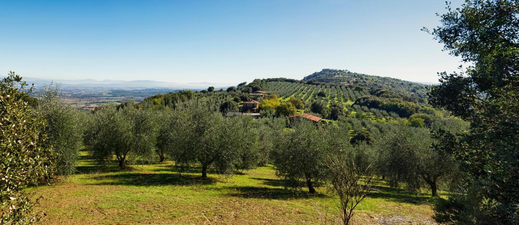The Country House Montali Tavernelle  Extérieur photo